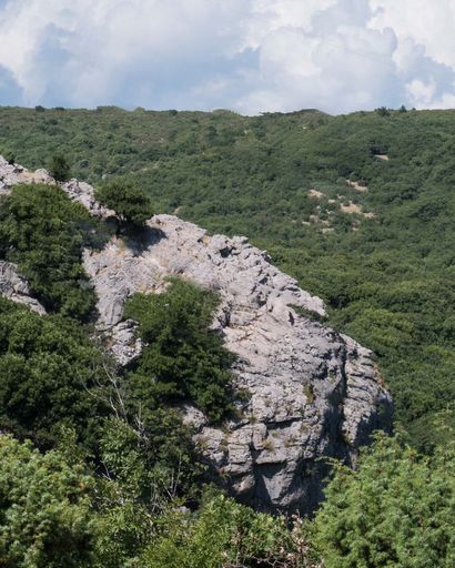 A vertical shot of rocky mountains covered with dense green forests on a sunny day