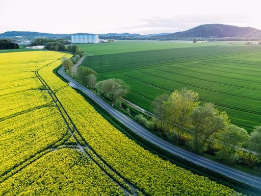 A scenic aerial view of a beautiful rapeseed field on a sunny day