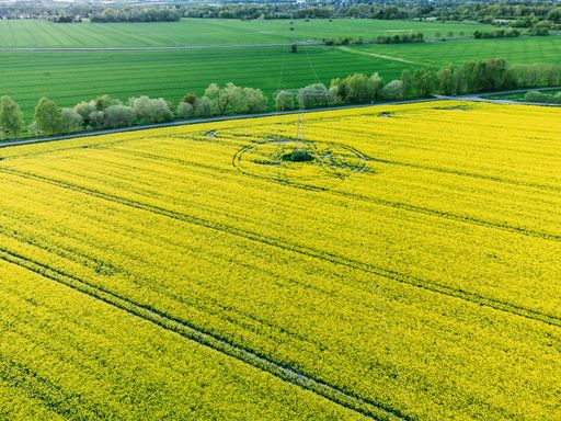 A scenic aerial view of a beautiful rapeseed field on a sunny day