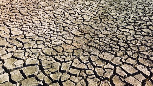A closeup shot of cracked earth texture
