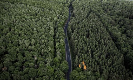 An aerial mesmerizing view of the road surrounded by dense forest