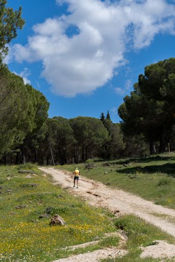 unrecognizable man in yellow shirt running through pine forest