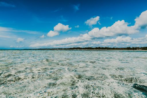 A beautiful shot of breathtaking sea waves surrounded by green trees under the white clouds