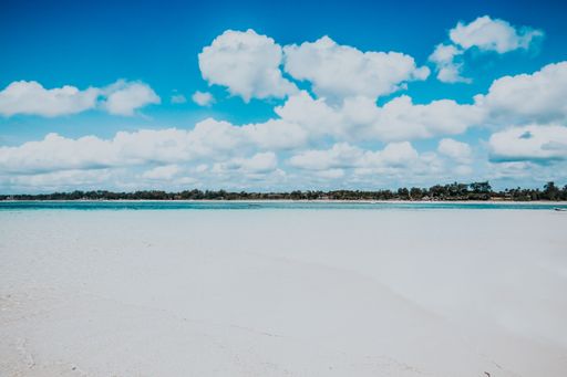 A beautiful shot of the sea surrounded by green trees under white clouds - great for a cool background