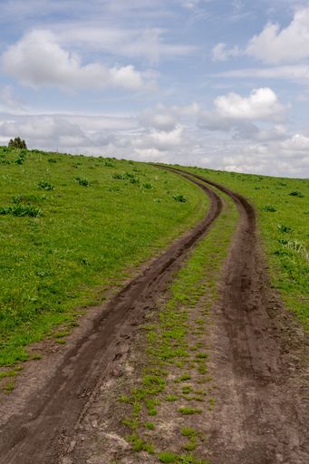 The tracks of a car on a muddy grassland against blue sky in bright sunlight