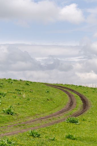 The tracks of a car on a muddy grassland against blue sky in bright sunlight
