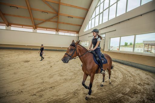 A closeup shot of a Slovenian girl riding a horse in an equestrian arena