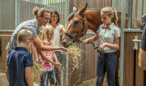 A closeup shot of a Slovenian family petting a brown horse in a stall