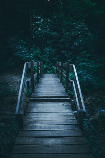 A vertical shot of a wooden bridge in the forest with beautiful green trees in the evening