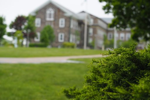 A road with a green lawn and bushes in the park in Halifax, Canada