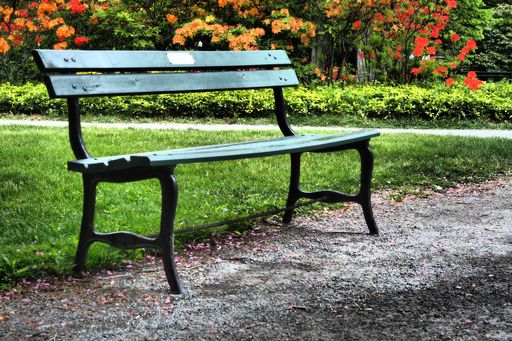 A closeup of a wooden bench with metal legs in a park on a summer day