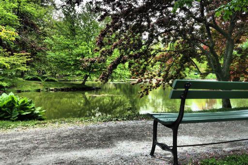 A Wide-angle shot of a lake in the park with bench and trees