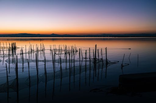 A scenic shot of the calm waters of Albufera Lagoon in Valencia, Spain