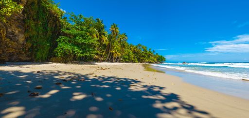 A panoramic view of a paradise beach under the coconut trees in Blanchisseuse, Trinidad and Tobago