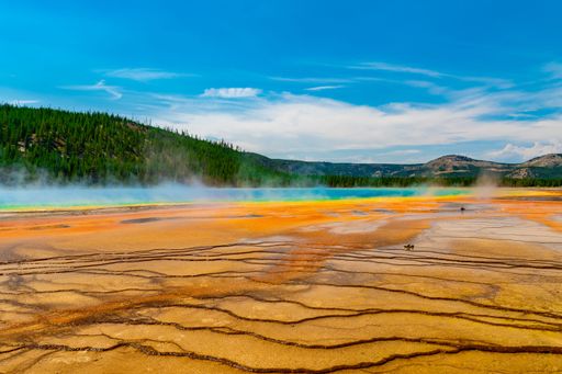 A beautiful shot of The Grand Prismatic Spring in Yellowstone National Park under a blue sky