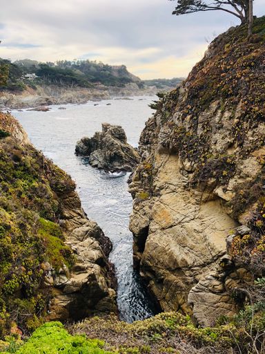 Beautiful scenery of the Carmel-by-the-Sea, a small beach city on California's Monterey Peninsula, USA