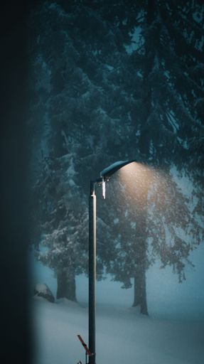 A vertical scenic view of road lamp shining during a snow blizzard,  Jahorina, Bosnia and Herzegovina.