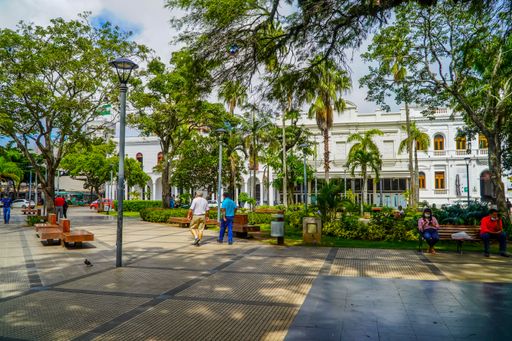 A view of people in a park with green trees on a sunny day