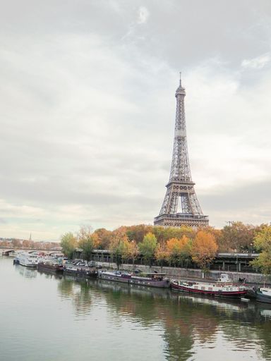 A vertical shot of a Seine river and the Eiffel tower in autumn, Paris