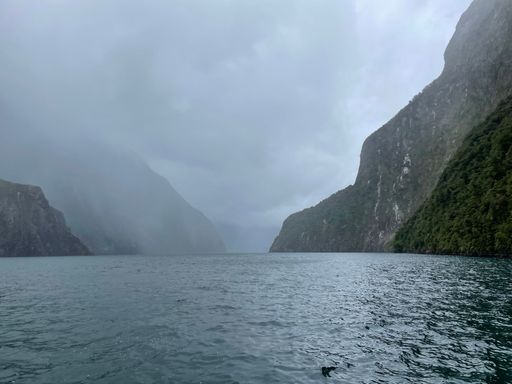 A beautiful landscape of the Milford sound with mountains and sea on a foggy day