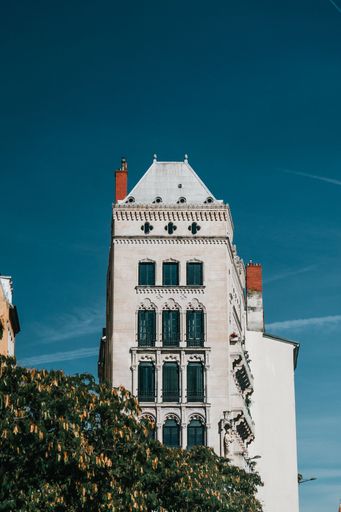 A vertical shot of Neuschwanstein castle behind blooming tree under blue bright sky