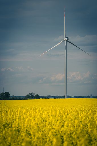 A vertical shot of a windmill in a field of yellow flowers in cloudy sky background