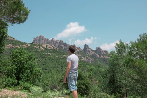 A back view of a young male wearing a gray shirt and jeans shorts posing in front of scenic green hills on a sunny day