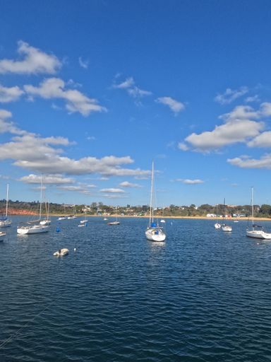 A vertical shot of boats swimming in a sea in front of the shore under a blue sky with clouds, Melbourne, Australia