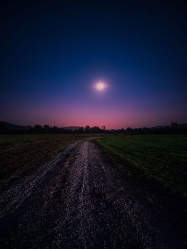 A vertical shot of country road through the field at night