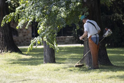 A worker mowing grass in the park