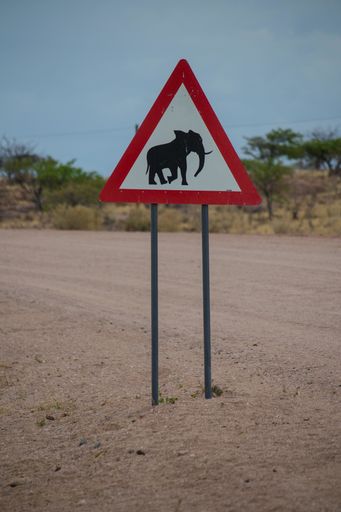 A vertical shot of a triangle road elephant sign