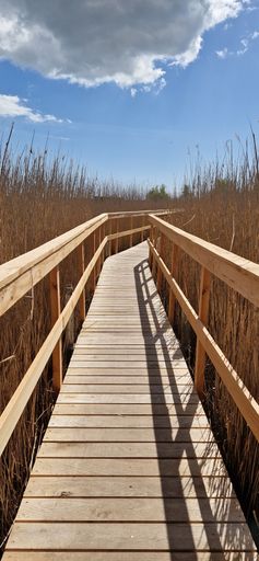 A vertical shot of a walking bridge on the lake 'Store Hoj So' in Vestamager, Copenhagen, Denmark