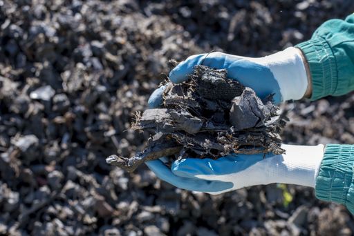 A closeup shot of a person holding pieces of shredded tires