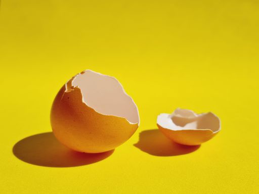 A close-up shot of a broken eggshell on a yellow background