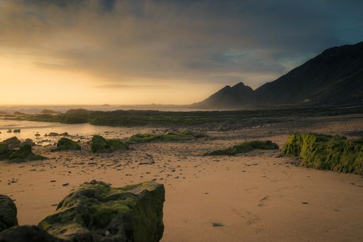 A beautiful shot of the coastal sandy scenery