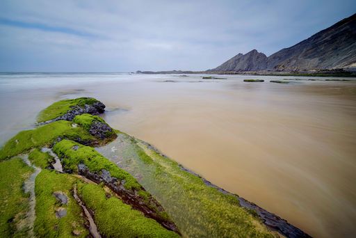 A Beautiful shot of a sandy coastline scenery and the cloudless sky