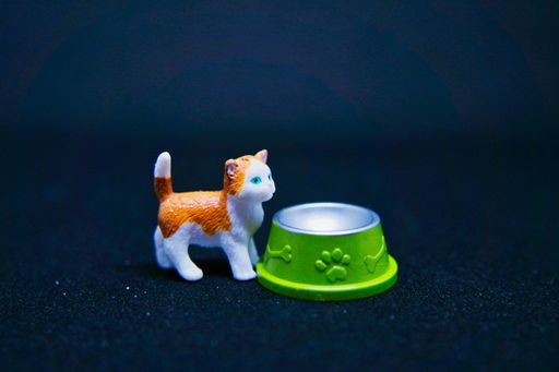 The figure of the cat and the food bowl