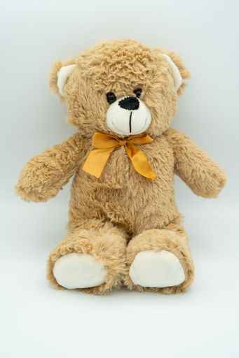 A vertical closeup shot of a cute teddy bear isolated on the white background