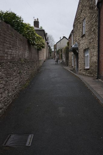 A vertical shot of an asphalt street between stone old walls with hanging trees against a light sky