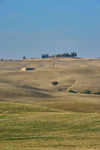 A vertical shot of the beautiful landscape of Tuscany at the end of autumn