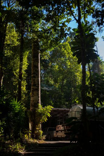 A vertical shot of tall trees and a metal construction in a forest
