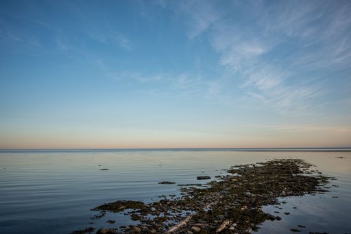 A body of water near the rocky shore reflecting the light cloudy sky