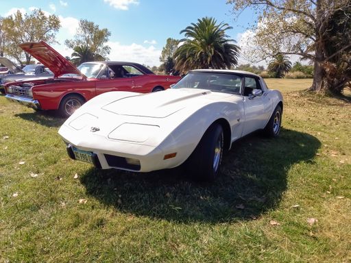 Old white sport Chevrolet Corvette C3 two door convertible 1970s by GM in the countryside. Nature grass and trees. Classic racing muscle car.