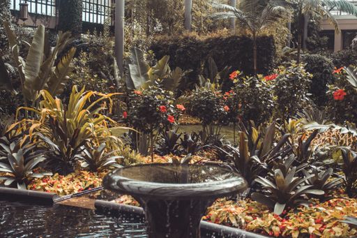 A different type of plants and flowers in the garden