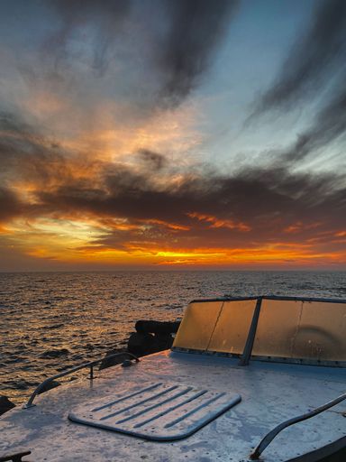 A vertical shot of a boat sailing in the blue river at sunset in Ukraine