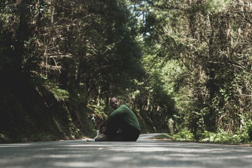 A man sitting on a road crossing the forest - concept travel, adventure