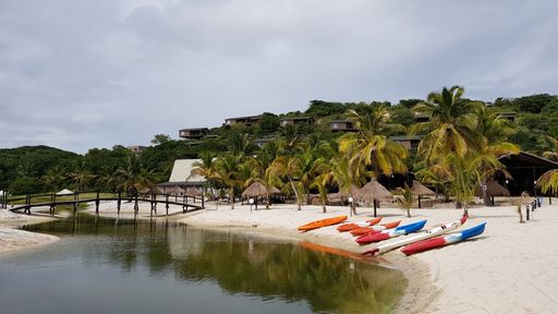 A relaxing view of a calm river with kayaks and palm trees on the sandy riverside during summer