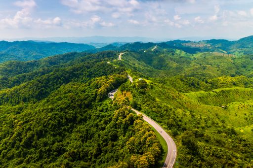A mesmerizing aerial view of a narrow road in the middle of green forested hills on a sunny day