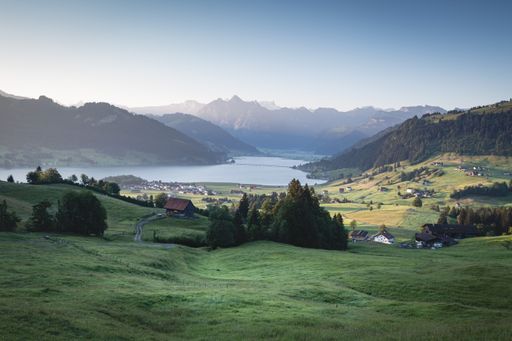 A small village on a green grass hill surrounded by pine trees with a lake in the background