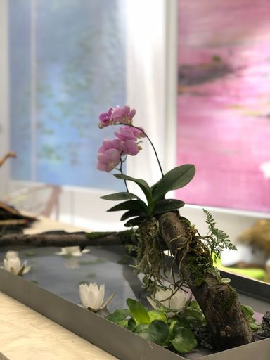 A vertical shot of orchid (Phalaenopsis aphrodite) growing in a small artificial water pond